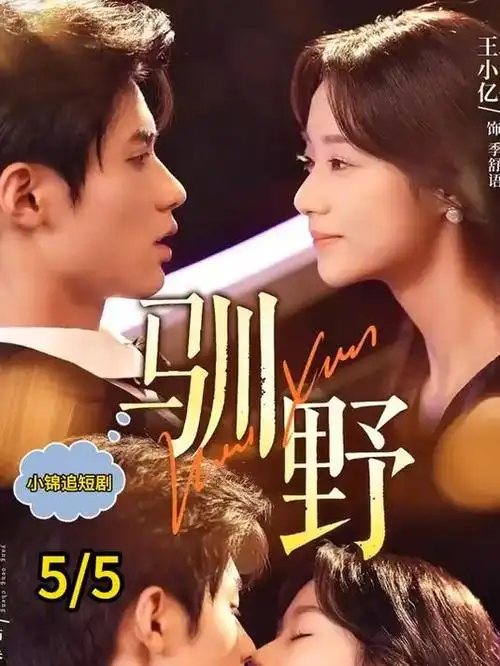 手艺人纪录片在线观看